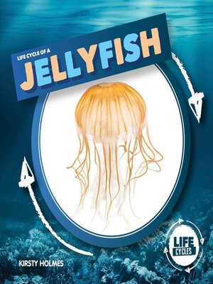 cover image of Life Cycle of a Jellyfish